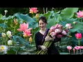 Download Lagu Harvest lotus flowers, the most beautiful flower in the pond, to cook delicious dishes