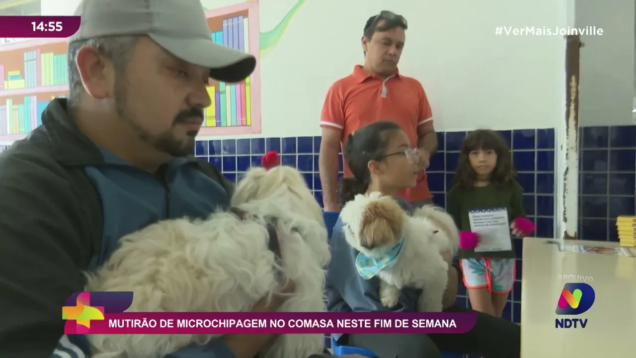 Mutirão de microchipagem no Comasa neste fim de semana