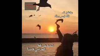 تجرؤ على فعل المعاصي قاصدا وتظن أن الله ليس يراك 