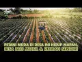 Download Lagu Petani Muda 22 Tahun Punya Lahan Berhektar dari Tanam Cabai