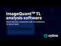 ImageQuant TL analysis software - Band intensity comparison with normalization to total protein