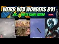 Download Lagu weird web wonders 391