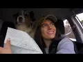 DOG FRIENDLY YOSEMITE