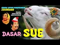 Download Lagu DASAR SUE - Sempal guyon parahyangan SIKUNDANG