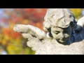 Final Farewells Funeral Pre-Planning Expert services - Make Online Funeral Arrangements In advance
