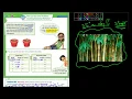 5th Math Envision 15-1 Lesson