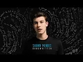 Shawn Mendes - Imagination (Official Audio)