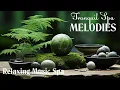 Warm Relaxing Spa Music - Connect Mind and Body in a Tranquil Atmosphere