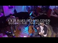 Whiskey Pines - 4 & 20 Blues (Redbird Cover) - Dugan's Pub