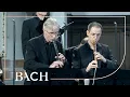 Download Lagu Bach - Cantate Gottes Zeit..., 'Actus Tragicus' BWV 106 - Van Veldhoven | Nederlandse Bachvereniging