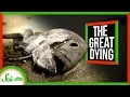 The Siberian Traps A 250 Million Year Old Crime Scene