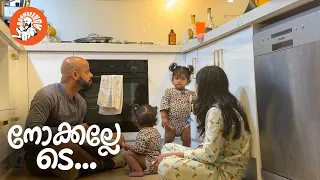 Daily Vlog EP. 183 | നോക്കല്ലേടെ | Malayalam Vlog | Family Time | Auckland | @BoomBaangh