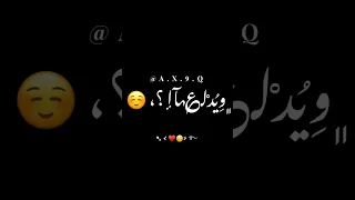 بشبوش عاشق بشة بصوت الشامي حالات واتس اب كرومات شاشة سوداء جديد 2024 