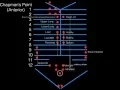 Chapman s Points Anterior For COMLEX Level I