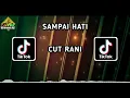 Download Lagu DJ SAMPAI HATI - CUT RANI (REMIX VERSION)