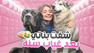 شفت بناتي بعد غياب سنة   دندنها