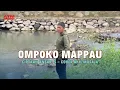 Download Lagu Lagu Bugis Ompoko Mappau Ciptaan Ansar. S Cover Akil Mosaja At Limbua Kajuara Kabupaten Pangkep