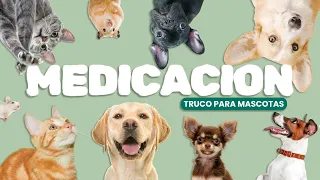 TRUCO para darle una PASTILLA a un perro o gato! como dar medicación a tus mascotas
