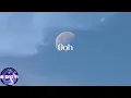 KAMAUU - MANGO (feat. Adeline) (Lyrics)