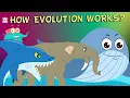 What Is Evolution - Compilation The Dr Binocs Show Non Stop Episodes PEEKABOO KIDZ