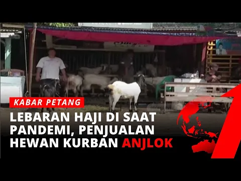 Penjualan Hewan Kurban Menurun 50 Persen, Jual-beli Hewan Qurban Online