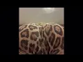 Paige vanzant twerking 0F leak
