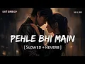Lagu Pehle Bhi Main Extended Film Version (Slowed + Reverb) | Vishal Mishra | Animal | SR Lofi