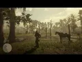 Red Dead Redemption 2 - RDR2