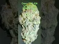Oreoz Cannabis Strain