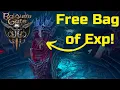 Obsolete A Few Nautiloid Secrets - Baldur s Gate 3 Early Access Patch 8