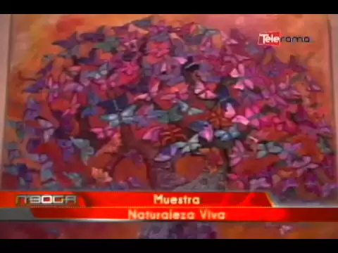 Muestra Naturaleza Viva