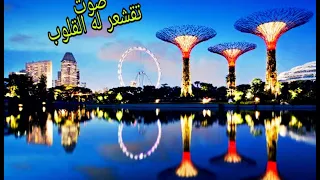 سورة الحديد كامله جميل القارئ شريف مصطفى حفظه الله 