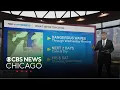 Comfortable Tuesday night for Chicago