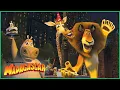 Download Lagu A compilação definitiva de Madagascar 🎉 | DreamWorks Madagascar em Português