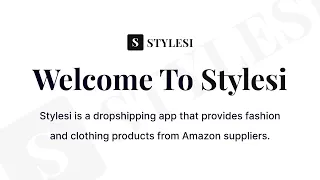 Stylesi Shein US Dropshipping Supplier Festive Fashion Trends 2024 Fashion Designer