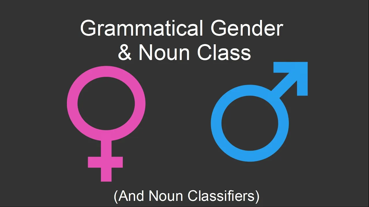 Grammatical Gender/Noun Class (and Noun Classifiers)