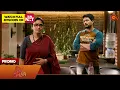 Singappenne - Promo | 17 Nov 2025 | Tamil Serial | Sun TV