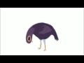 Trash Doves GIF S Download Link in the description