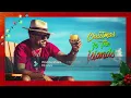 shanseea-island girl,Dj shafbee dancehall mash-up mix 2022🔥🔥trailer.