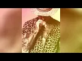 Zuma Dionys - Gold Jaguar (Original Mix)