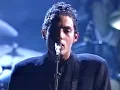 Wallflowers & Bruce Springsteen   One Headlight