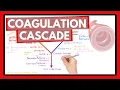 Coagulation Cascade - Easy Way To Remember Intrinsic vs Extrinsic Pathways PT or PTT