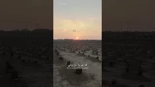 فلا خبر ولا امل يواسي فهذا الليل ضيعني خطاه فرحت اناشد الظلماء ايني انشوده حزينه  فلا خبر ولا امل يواسي فهذا الليل ضيعني خطاه فرحت اناشد الظلماء ايني انشوده حزينه