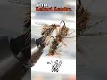 Download Lagu Fly tying Jun Kebari Kendra 😲🎣💯#montajedemoscas #atadodemoscas #tenkara