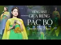 Download Lagu Tiếng Hát Giữa Rừng Pacbo - Hoài Phan Hát Cực Hay Mừng 80 Năm Quốc Khánh 2/9