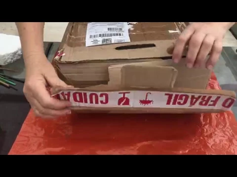 RECEBI MUDAS DE CATTLEYA AGORA APRENDA A PLANTAR ORQUÍDEAS COM TERESINHA KUNZ