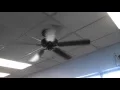 Menards Turn of the Century Ceiling Fan in a Mexican Restaurant