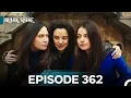 Download Lagu Black Rose Episode 362