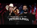 Download Lagu Fiduma e Jeca - Pitchulinha