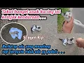 Download Lagu Kitten ini guling-guling dipinggir jalan, berharap ada yang mau adopsi‼️